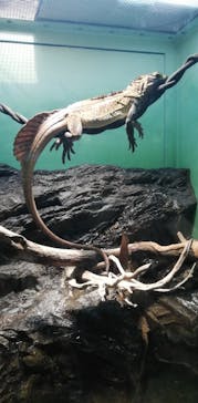 サンシャイン水族館に投稿された画像（2022/9/18）