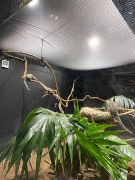 カワスイ 川崎⽔族館に投稿された画像（2022/9/18）