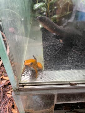 カワスイ 川崎⽔族館に投稿された画像（2022/9/18）