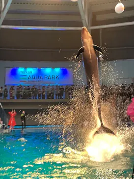 マクセル アクアパーク品川に投稿された画像（2022/9/18）