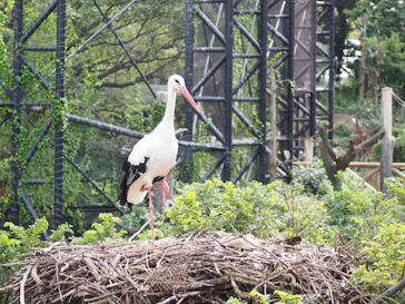 天王寺動物園に投稿された画像（2022/9/18）