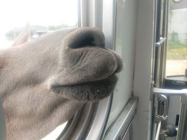 東北サファリパークに投稿された画像（2022/9/18）