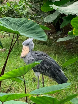 神戸どうぶつ王国に投稿された画像（2022/9/18）