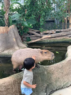 神戸どうぶつ王国に投稿された画像（2022/9/18）