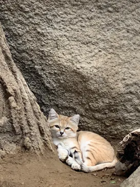 神戸どうぶつ王国に投稿された画像（2022/9/18）