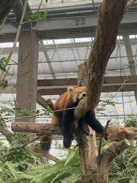 神戸どうぶつ王国に投稿された画像（2022/9/18）