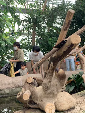 神戸どうぶつ王国に投稿された画像（2022/9/18）