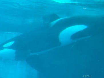 名古屋港水族館に投稿された画像（2022/9/18）