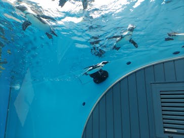 サンシャイン水族館に投稿された画像（2022/9/18）