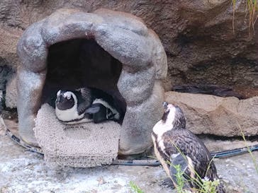サンシャイン水族館に投稿された画像（2022/9/18）