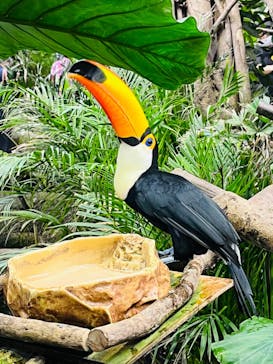 那須どうぶつ王国に投稿された画像（2022/9/18）