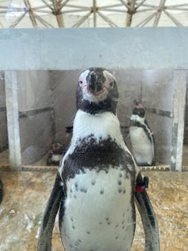 城崎マリンワールドに投稿された画像（2022/9/18）