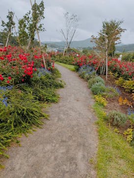 いばらきフラワーパークに投稿された画像（2022/9/18）