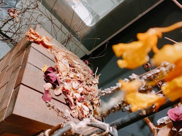 いばらきフラワーパークに投稿された画像（2022/9/18）