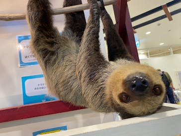 アニタッチみなとみらいに投稿された画像（2022/9/18）