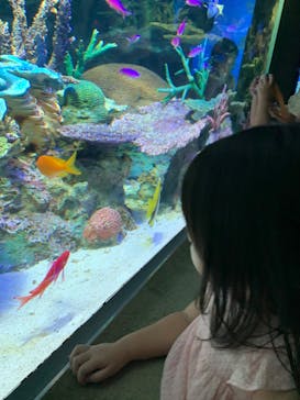 サンシャイン水族館に投稿された画像（2022/9/18）