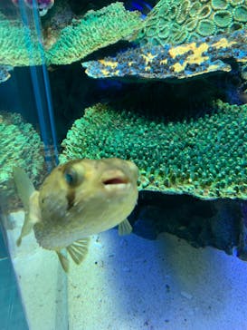 サンシャイン水族館に投稿された画像（2022/9/18）