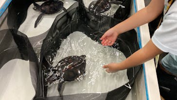 南知多ビーチランド＆南知多おもちゃ王国に投稿された画像（2022/9/18）