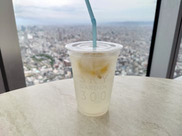 ハルカス300(展望台)に投稿された画像（2022/9/18）