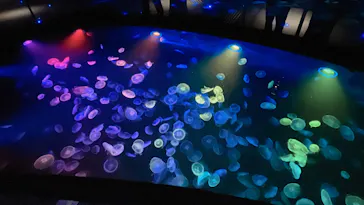 すみだ水族館に投稿された画像（2022/9/18）