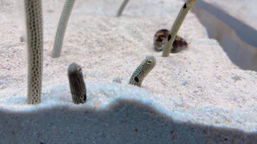 すみだ水族館に投稿された画像（2022/9/18）