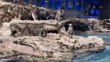 すみだ水族館に投稿された画像（2022/9/18）