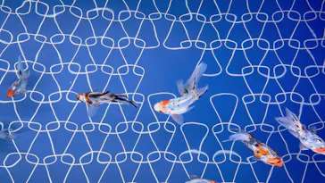 すみだ水族館に投稿された画像（2022/9/18）