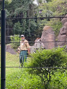 天王寺動物園に投稿された画像（2022/9/18）