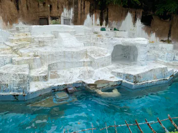 天王寺動物園に投稿された画像（2022/9/18）