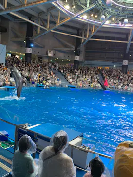 マクセル アクアパーク品川に投稿された画像（2022/9/18）