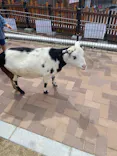 天王寺動物園に投稿された画像（2022/9/18）