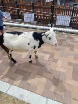 天王寺動物園に投稿された画像（2022/9/18）