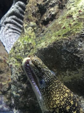 城崎マリンワールドに投稿された画像（2022/9/18）