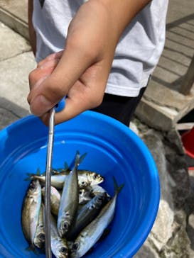 城崎マリンワールドに投稿された画像（2022/9/18）