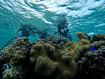 宮古島 ADVENTURE PiPi（ミヤコジマ アドベンチャー ピピ）に投稿された画像（2022/9/18）