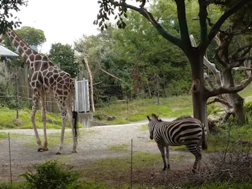 天王寺動物園に投稿された画像（2022/9/18）