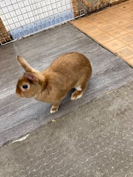 東京あそびマーレに投稿された画像（2022/9/18）