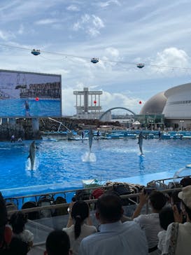 名古屋港水族館に投稿された画像（2022/9/18）