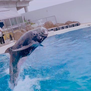 大分マリーンパレス水族館 「うみたまご」に投稿された画像（2022/9/18）