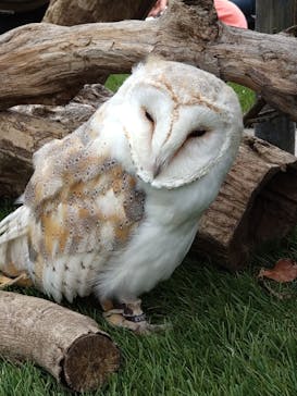 伊豆アニマルキングダムに投稿された画像（2022/9/18）