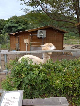 伊豆アニマルキングダムに投稿された画像（2022/9/18）