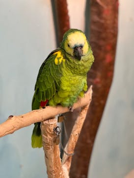 Moff animal cafe iias つくば店に投稿された画像（2022/9/18）