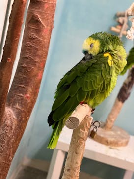 Moff animal cafe iias つくば店に投稿された画像（2022/9/18）