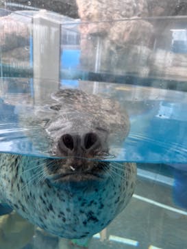 京都水族館に投稿された画像（2022/9/18）