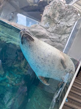 京都水族館に投稿された画像（2022/9/18）