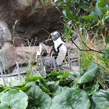 サンシャイン水族館に投稿された画像（2022/9/18）