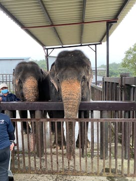 那須サファリパークに投稿された画像（2022/9/18）