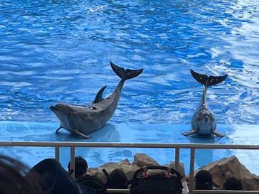 名古屋港水族館に投稿された画像（2022/9/18）