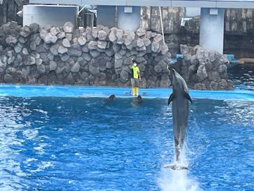 名古屋港水族館に投稿された画像（2022/9/18）