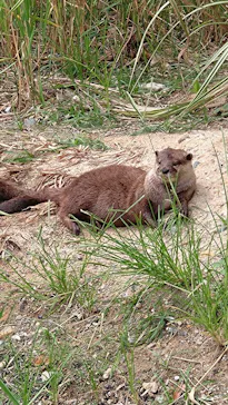 神戸どうぶつ王国に投稿された画像（2022/9/19）